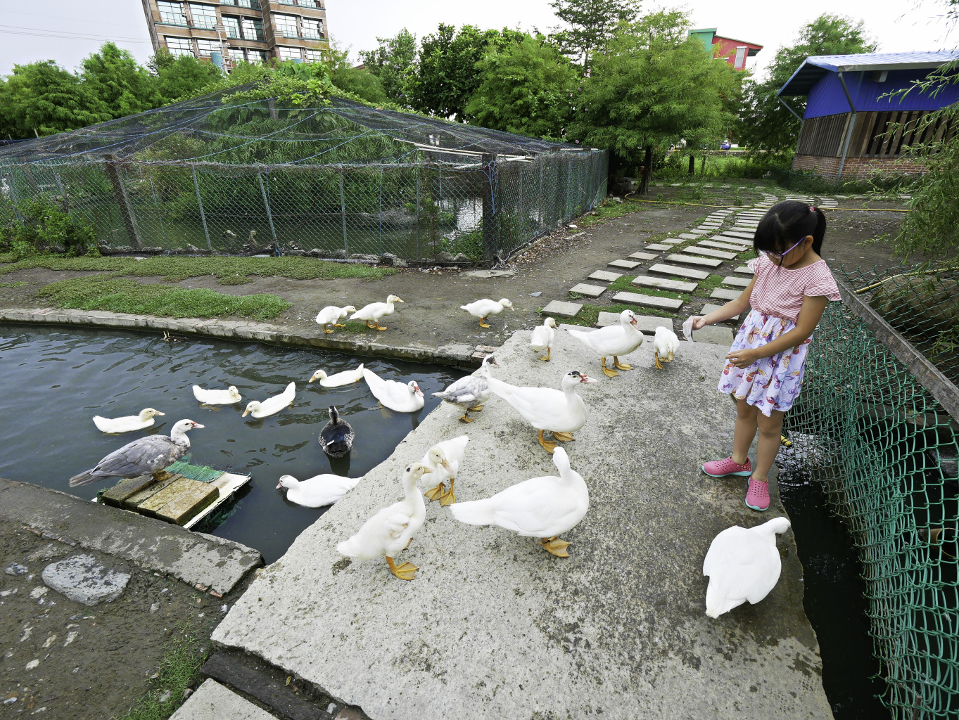 鴨寮故事館,宜蘭免費景點-12.jpg