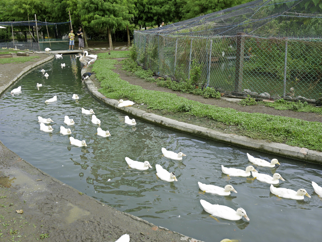 鴨寮故事館,宜蘭免費景點-17.jpg