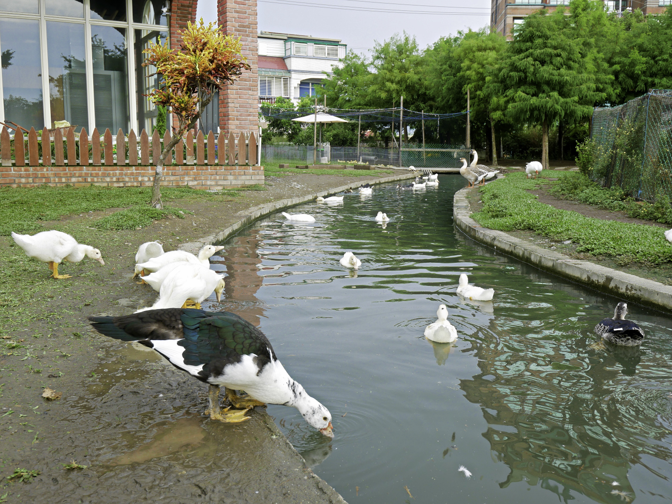 鴨寮故事館,宜蘭免費景點-22.jpg