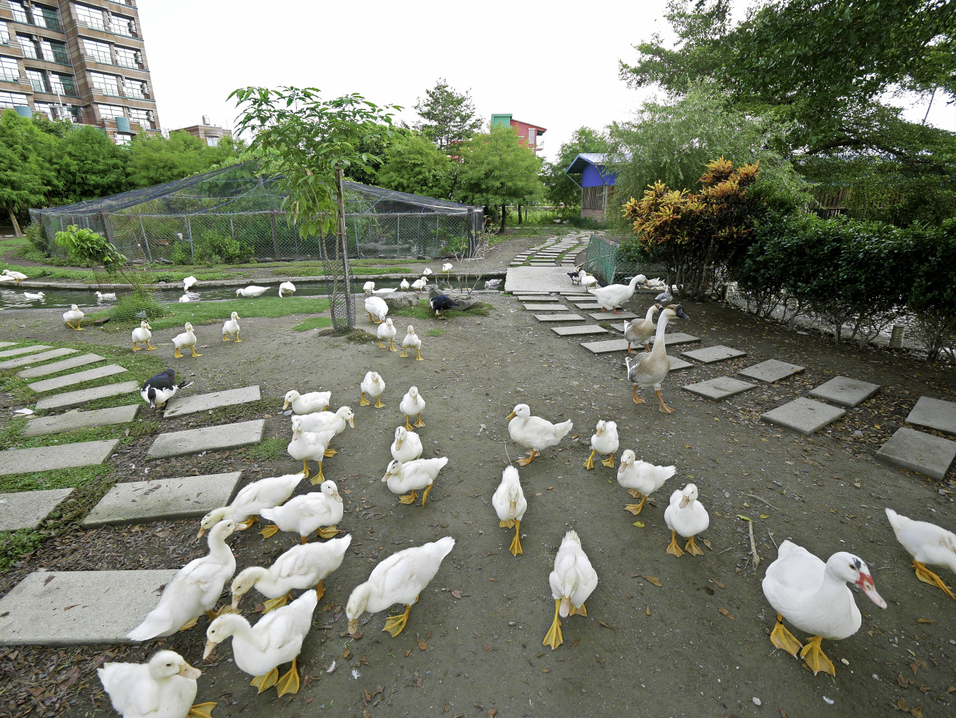 鴨寮故事館,宜蘭免費景點-28.jpg