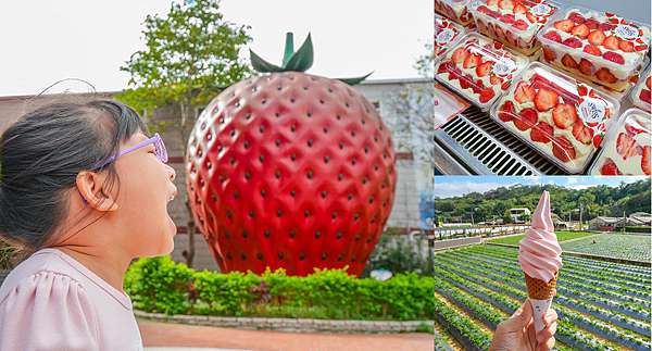苗栗 免費景點 大湖酒莊 草莓文化館 免費景點 採草莓 吃草莓香腸 草莓雞排 霜淇淋 買草莓伴手禮 小妞的生活旅程 痞客邦