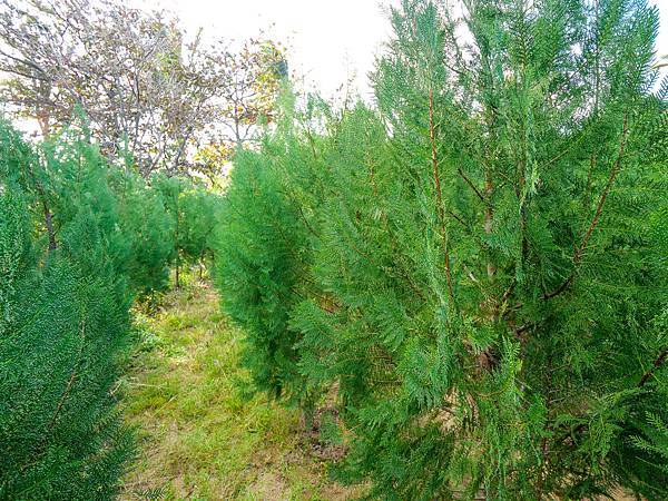 日安寶貝-43.jpg 日安寶貝-43.jpg