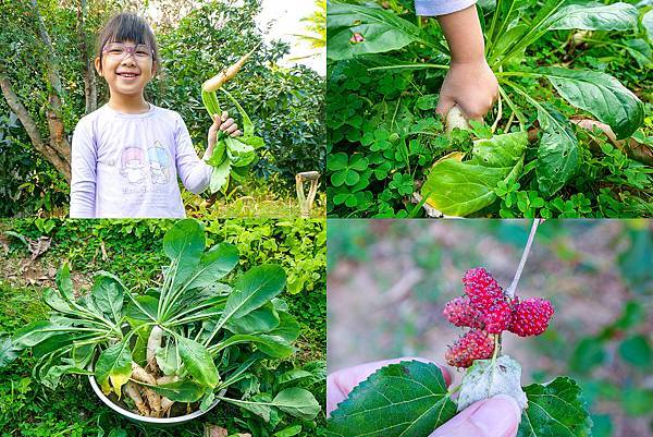 日安寶貝-52.jpg 日安寶貝-52.jpg