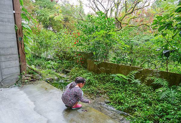 三富農場,紫蝶館,欒樹館-35.jpg