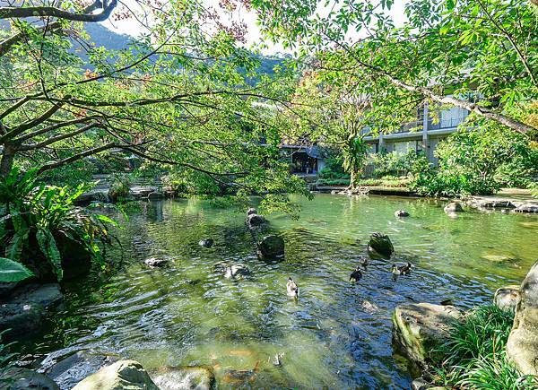 三富農場,紫蝶館,欒樹館-45.jpg