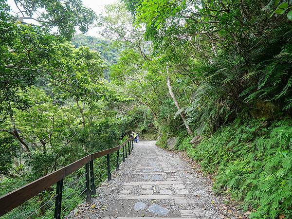 小錐麓步道,砂卡礑步道-14.jpg