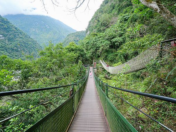 小錐麓步道,砂卡礑步道-35.jpg