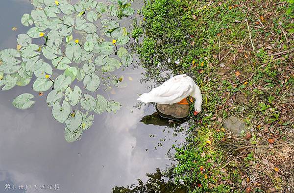 奇岩一號公園-25.jpg 奇岩一號公園-25.jpg