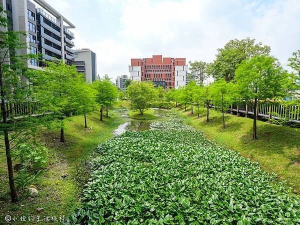 奇岩一號公園-26.jpg 奇岩一號公園-26.jpg