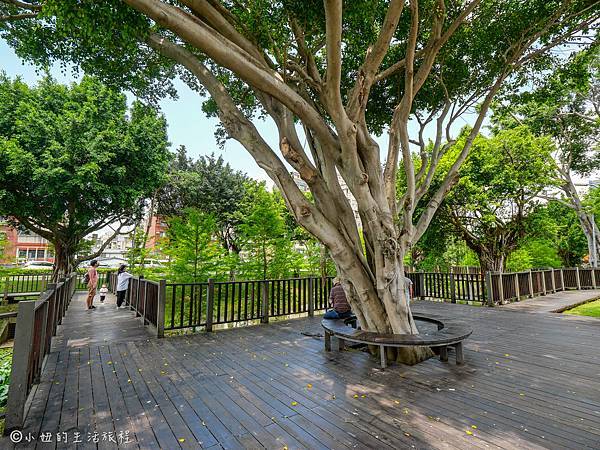 奇岩一號公園-27.jpg 奇岩一號公園-27.jpg