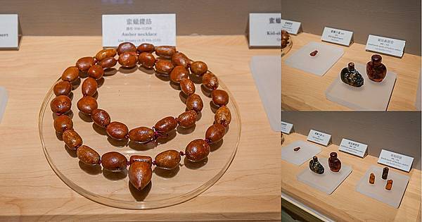 那一刻 琥珀的記憶特展,國立自然科學博物館-68.jpg