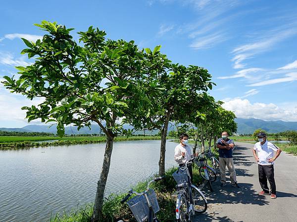 冬山河休閒農業區,五十二甲溼地,三奇美徑-09.jpg