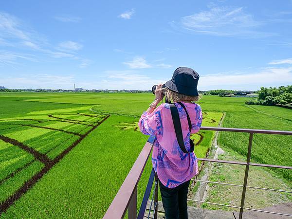 冬山河休閒農業區,五十二甲溼地,三奇美徑-30.jpg