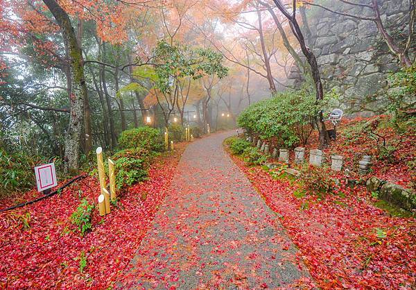 八幡堀八幡山纜車-21.jpg