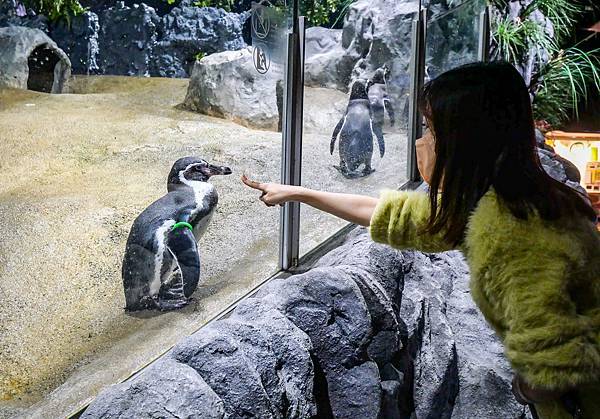 DMM Kariyushi水族館,沖繩新水族館-20.jpg