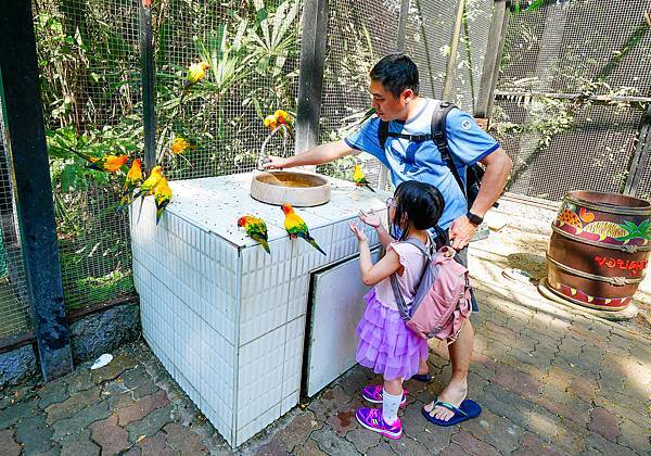 曼谷賽佛瑞野生動物園,Safari World-50.jpg