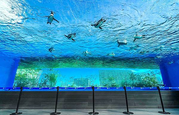 池袋陽光水族館Sunshine Aquarium-74.jpg