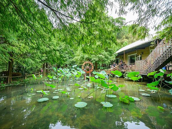 竹圃茶園小木屋休閒農場-10.jpg