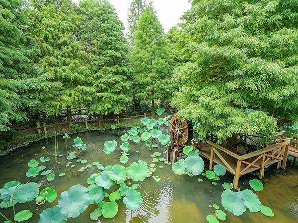 竹圃茶園小木屋休閒農場-11.jpg