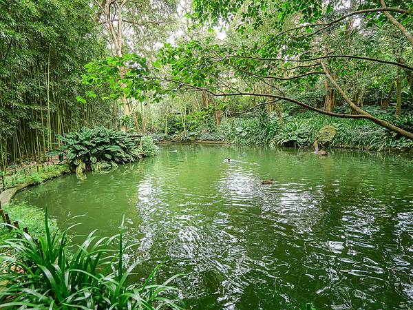 陽明山咖啡廳,納美花園,Navi Garden-08.jpg