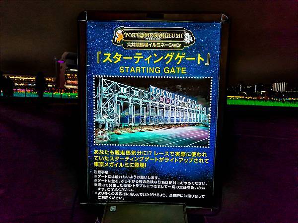 大井競馬場燈展,2023-2024,東京燈展-29.jpg