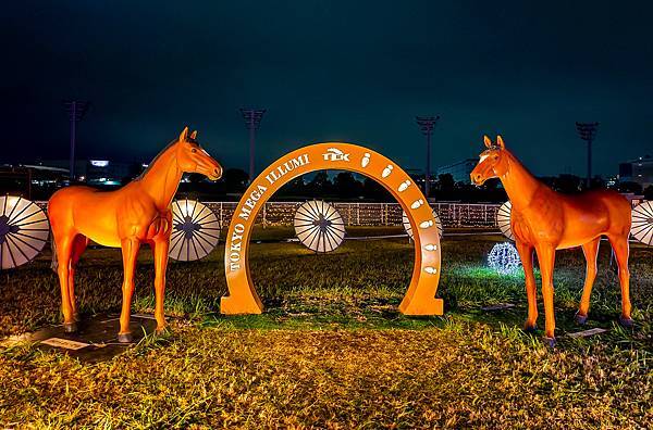 大井競馬場燈展,2023-2024,東京燈展-37.jpg