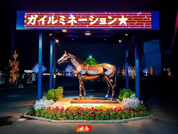 大井競馬場燈展,2023-2024,東京燈展-44.jpg