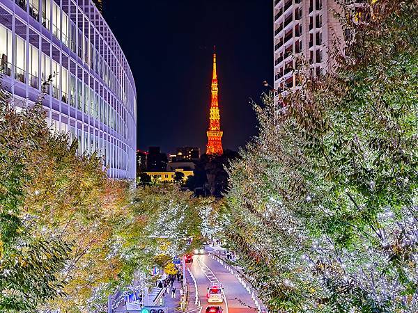 六本木聖誕燈,Roppongi Hills-13.jpg