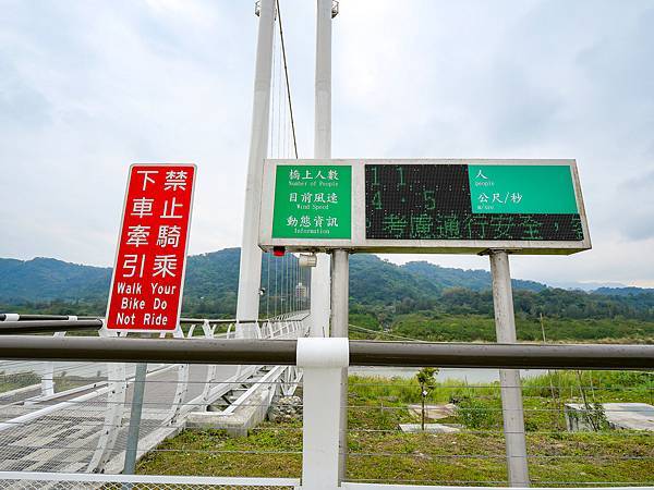 大嵙崁親水園區,中庄吊橋,山豬湖生態親水園區-15.jpg