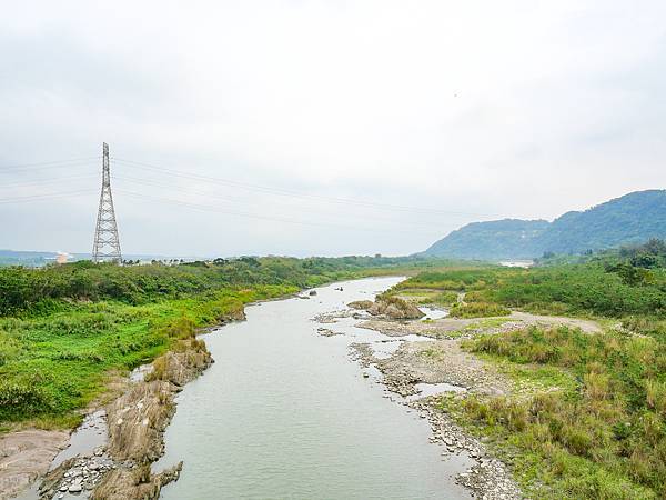 大嵙崁親水園區,中庄吊橋,山豬湖生態親水園區-18.jpg