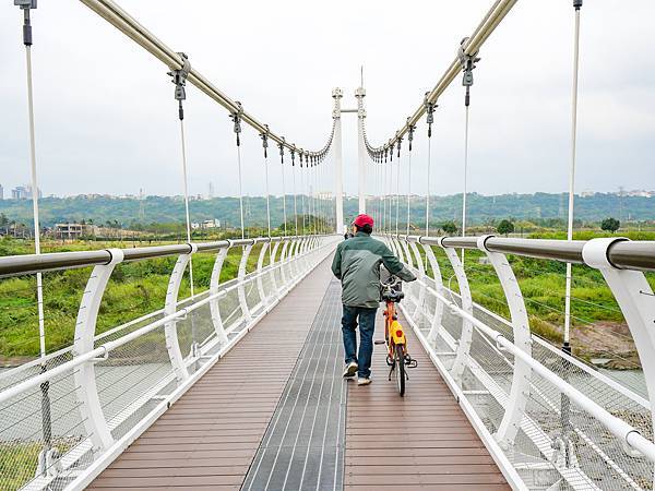 大嵙崁親水園區,中庄吊橋,山豬湖生態親水園區-19.jpg