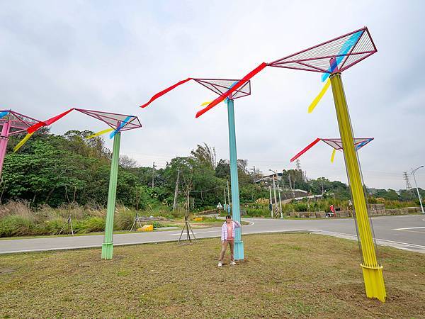 大嵙崁親水園區,中庄吊橋,山豬湖生態親水園區-41.jpg