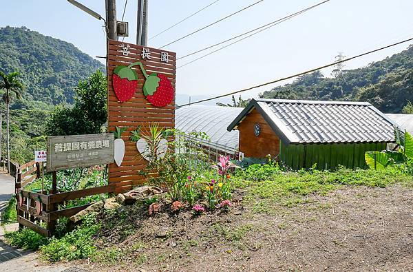 內湖草莓園,菩提園有機農場,碧山巖咖啡-26.jpg