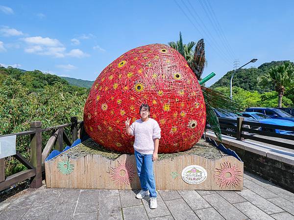 內湖草莓園,菩提園有機農場,碧山巖咖啡-53.jpg