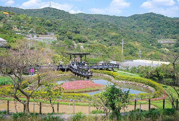 內湖草莓園,菩提園有機農場,碧山巖咖啡-61.jpg