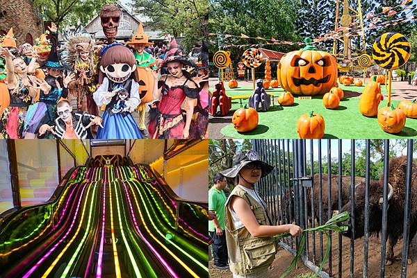 關西六福莊 團購 ~六福村樂園兩日入園手環、第四位純住宿不加