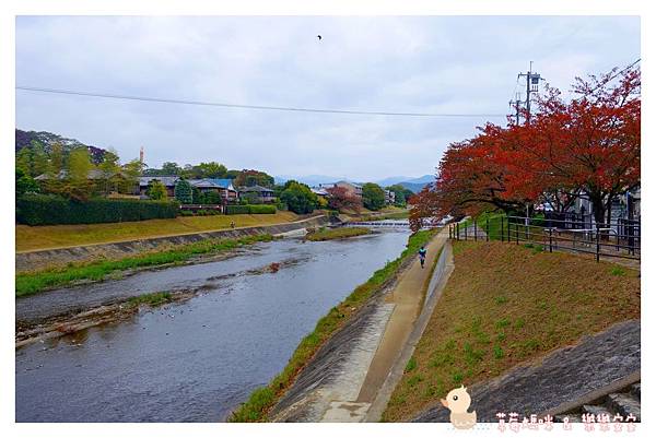 京都31.jpg