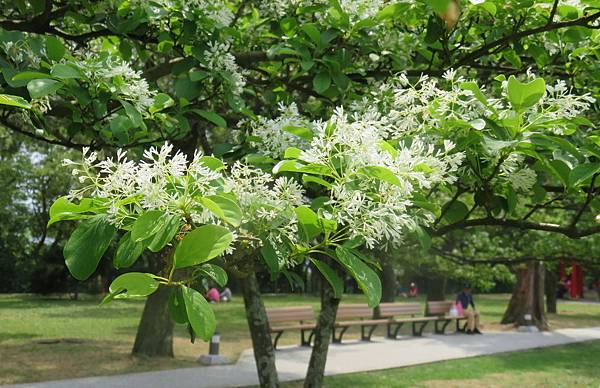 5 IMG_1205 5 IMG_1205