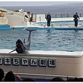 1227-沖繩海豚表演.jpg