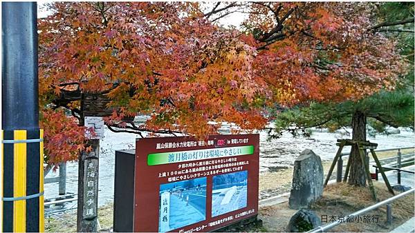 日本-嵐山-1.jpg