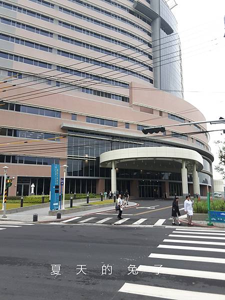 繽紛色彩的天主教輔仁大學附設醫院