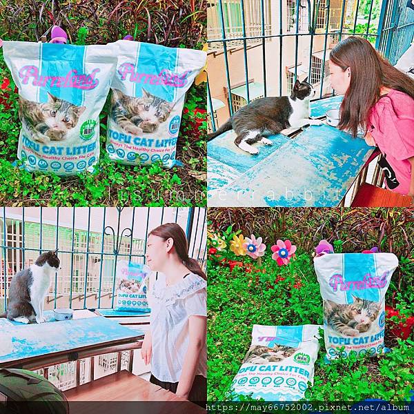 IMG_PITU_20190708_151423.jpg 試用