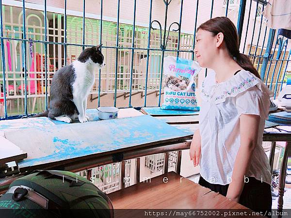 IMG_PITU_20190708_152045.jpg 試用