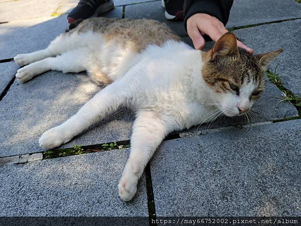 20220404_100524.jpg 20220404_100524.jpg