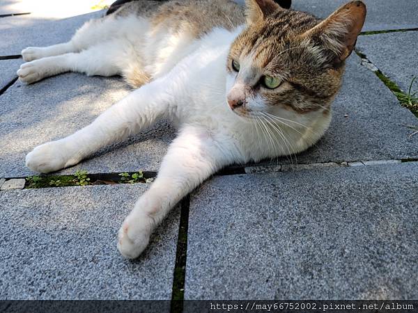 20220404_100530.jpg 20220404_100530.jpg