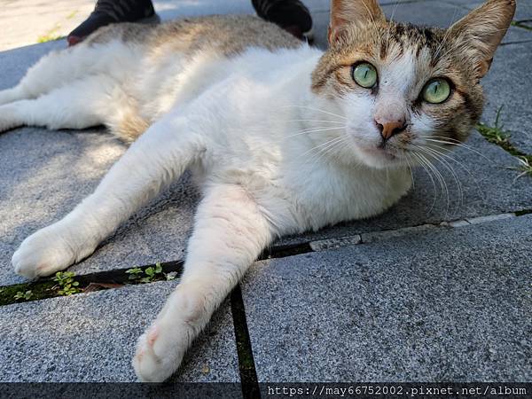 20220404_100604.jpg 20220404_100604.jpg