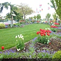 bSkagit Valley Tulip Festival6