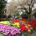 bSkagit Valley Tulip Festival9