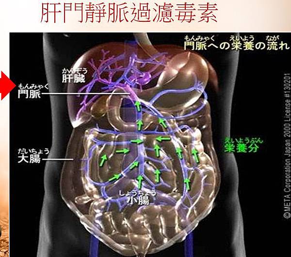 擷取1 擷取1