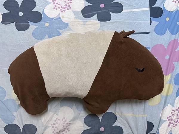 魚媽故事館  13年的馬來貘重整 換棉花洗全身浴